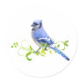 Blue Jay Bird Round Stickers