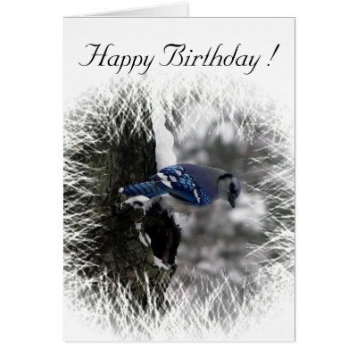 Blue Jay Birthday Card by kahmier