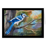 Blue Jay Blank Card