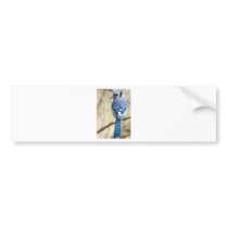 Blue Jay Bumper Stickers