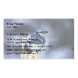 Blue jay business card template