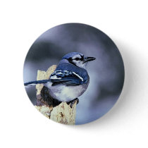 Blue jay pinback buttons