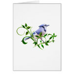 Blue Jay Greeting Card