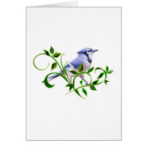 Blue Jay Greeting Card