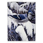 Blue jay cards
