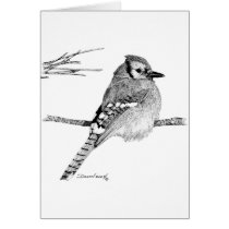 Blue Jay