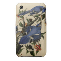 Blue Jay Iphone 3 Case-mate Case