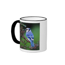 Blue Jay, Cyaoncitta cristata 2 Mug