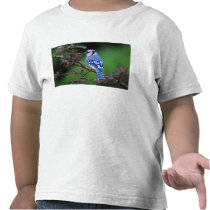 Blue Jay, Cyaoncitta cristata 2 Tee Shirt
