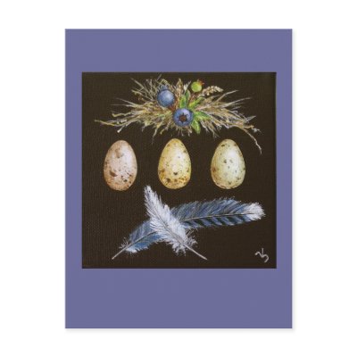 blue jay eggs with blueberries postcard by vickisawyer