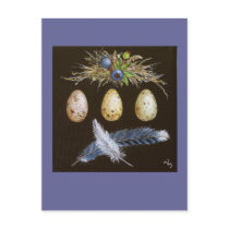 blue jay eggs with blueberries postcard
