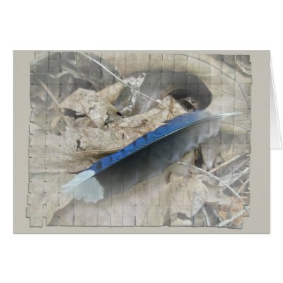Blue Jay Feather Coordinating Items Greeting Cards by CarolsCamera