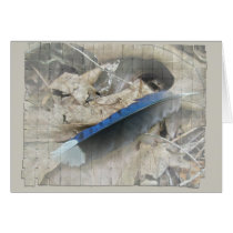 Blue Jay Feather Coordinating Items Greeting Cards
