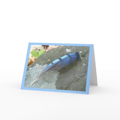 Blue Jay Feather Note Card by CarolsCamera