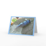 Blue Jay Feather Note Card