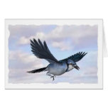 blue jay flying high cards