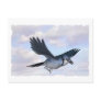 blue jay flying high post cards