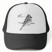 Blue Jay