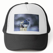 Blue jay trucker hat