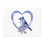 Blue Jay in Heart Post Card