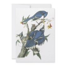 Blue Jay, John Audubon Custom Invitation
