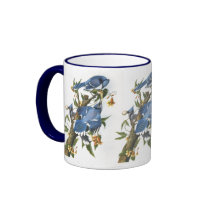 Blue Jay, John James Audubon Coffee Mug