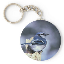 Blue jay keychain