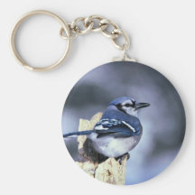 Blue jay keychain