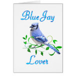 Blue Jay Lover Cards