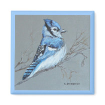 'Blue Jay' Magnet