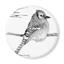 Blue Jay