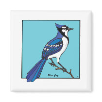 BLUE JAY MAGNET