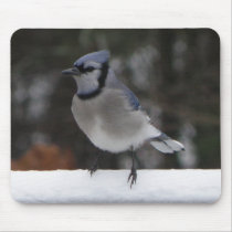 Blue Jay Mousepad