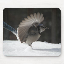 Blue Jay Mousepad