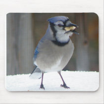 Blue Jay Mousepad