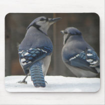 Blue Jay Mousepad