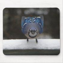 Blue Jay Mousepad