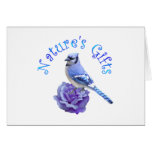 Blue Jay Nature's Gift Greeting Cards