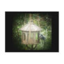 Blue Jay on Bird feeder Post Card