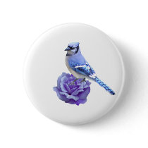 Blue Jay on Rose Pinback Button