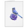 Blue Jay on Rose Greeting Cards