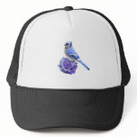 Blue Jay on Rose Hats