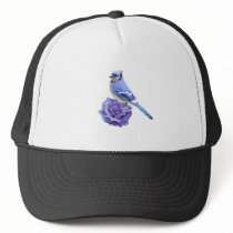 Blue Jay on Rose Hats