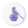 Blue Jay on Rose Magnet