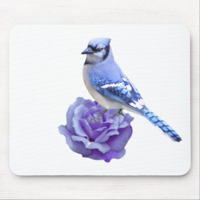 Blue Jay on Rose Mouse Pad by TLArnold