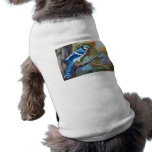 Blue Jay Pet Clothing