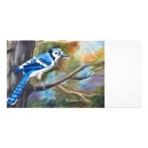 Blue Jay Photo Card