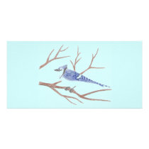 Blue Jay Photo Card