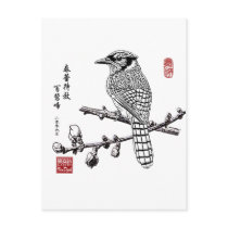 Blue Jay Post Card
