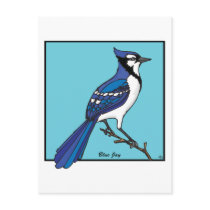 BLUE JAY POST CARD